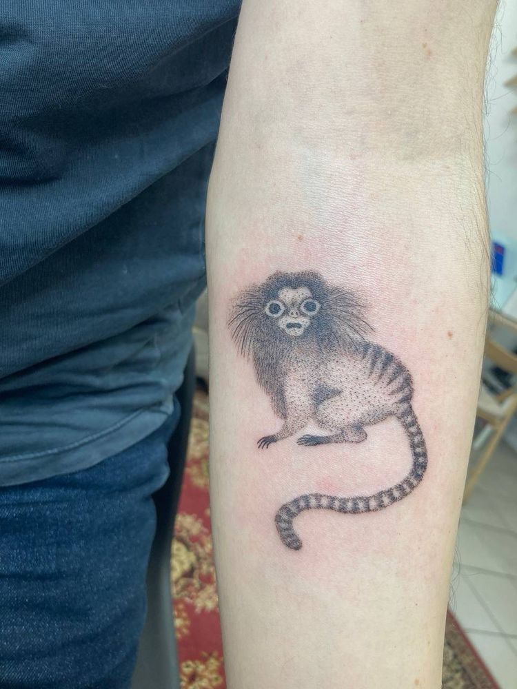 Black and white tattoo of a marmoset monkey
