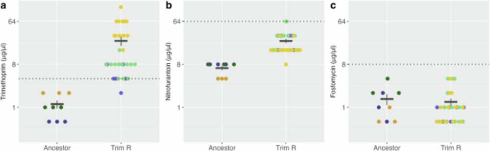 The effect of antibiotic selection on collateral effects and evolvability of uropathogenic Escherichia coli - npj Antimicrobials and Resistance