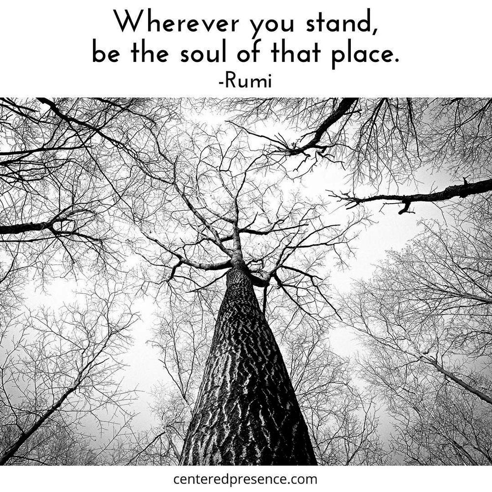 A perspective photo from the bottom of large tree looking up to the sky. "Wherever you stand, be the soul of the place." Quote by Rumi