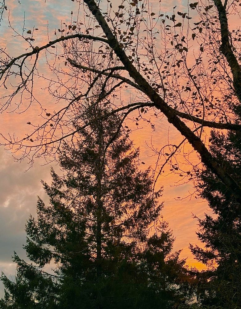 The autumn light going out from the sky