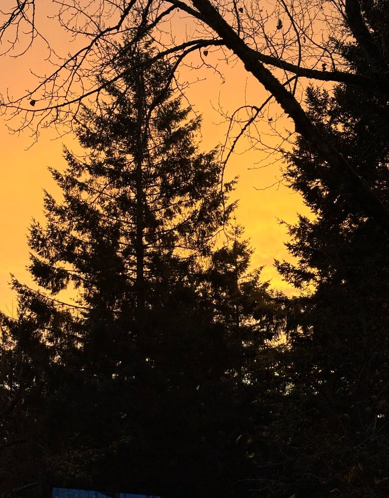 The procession of the setting sun brings beautiful colors Part I