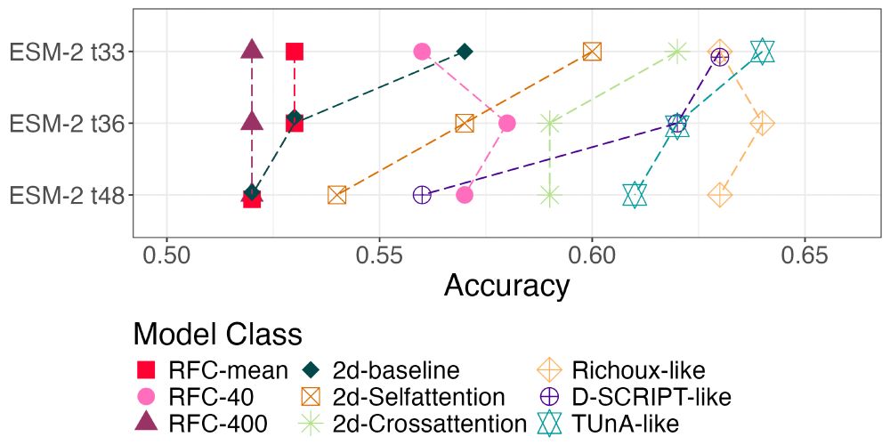 Validation performances of the 9 tested models (random forest: mean embeddings, random forest: 40 & 400 PCA components of the embeddings, 2d-baseline, 2d-Selfattention, 2d-Crossattention, Richoux-like, D-SCRIPT-like, TUnA-like. Most models perform best with the smaller t33 embedding.