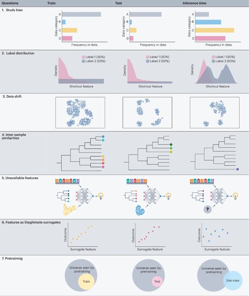 Overview figure of the seven guiding questions addressed in manuscript regarding (1) Study bias, (2) Label distribution, (3) Data shift, (4) Inter-sample similarities, (5) Unavailable features, (6) Features as illegitimate surrogates, (7) Pretraining