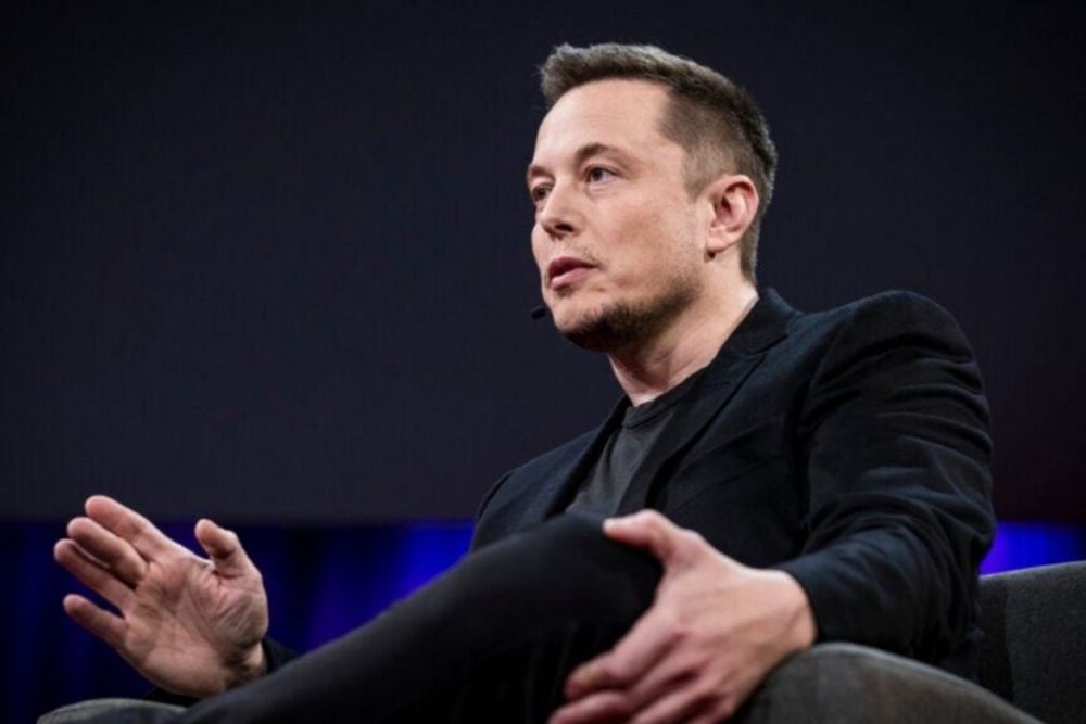 Elon Musk's Brother Once Said They Were 'Illegal Immigrants' During Startup's Early Days