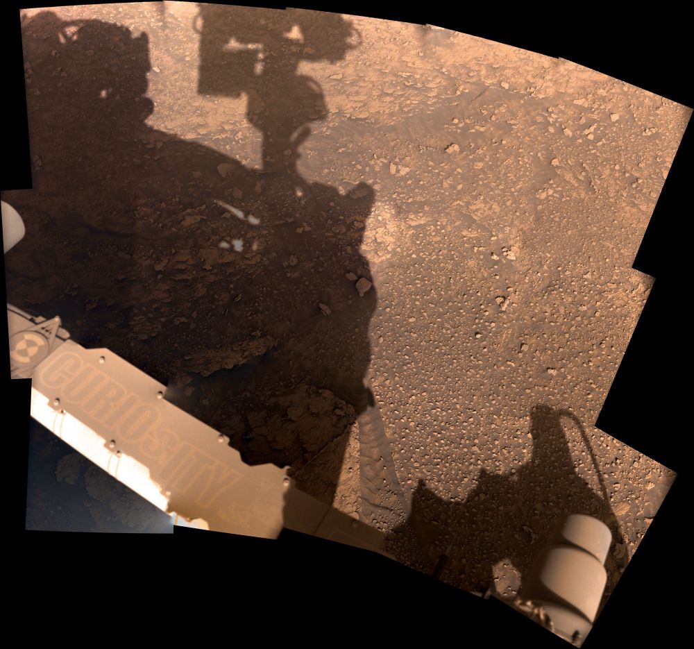 Rocks and sand.

NASA/JPL-Caltech/MSSS/Kevin M. Gill