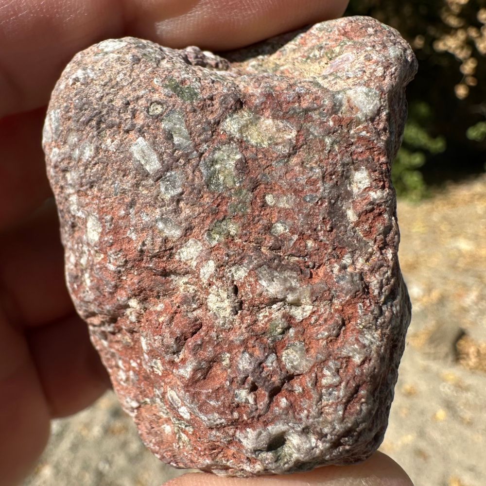 A reddish rock with little inclusions (xenoliths?)