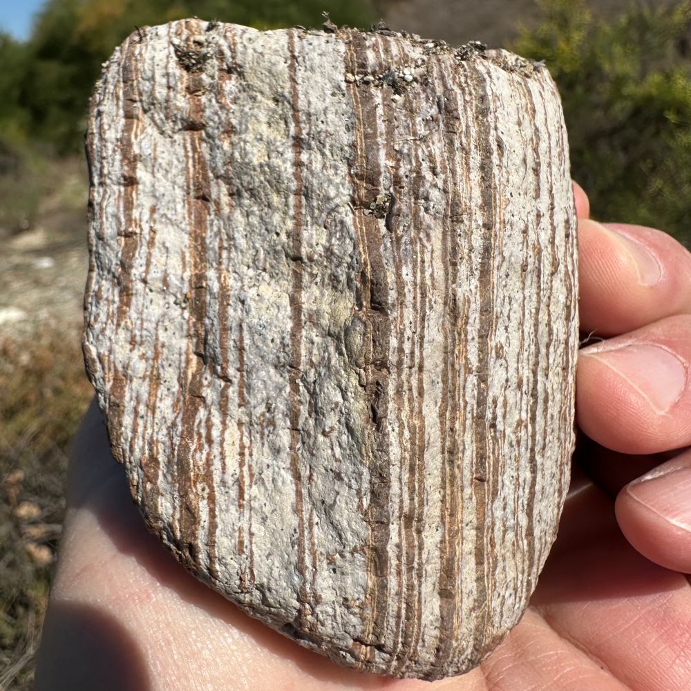 A while and brown layered rock