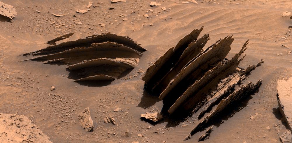 Two layered rocks with significant portions removed by wind erosion.

NASA/JPL-Caltech/MSSS/Kevin M. Gill