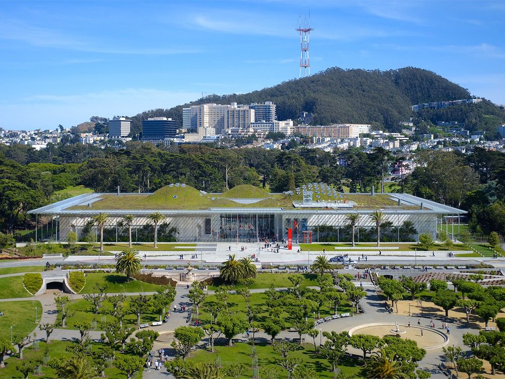 The California Academy of Sciences in beautiful Golden Gate Park, San Francisco.