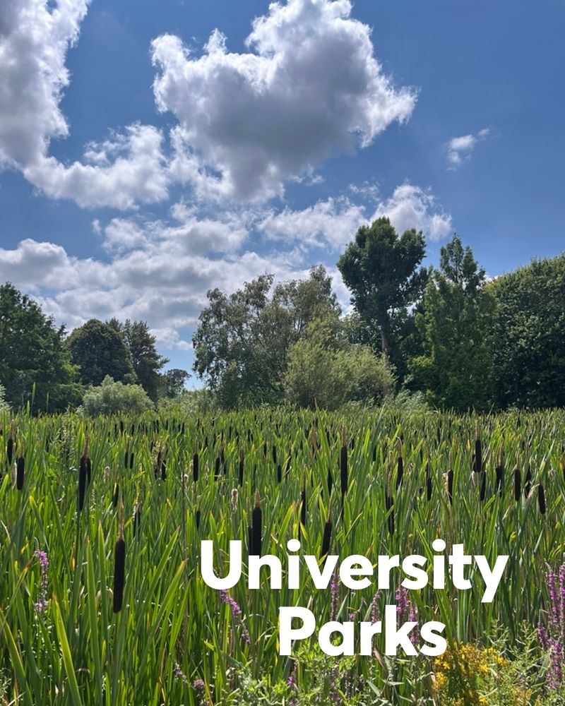 University parks