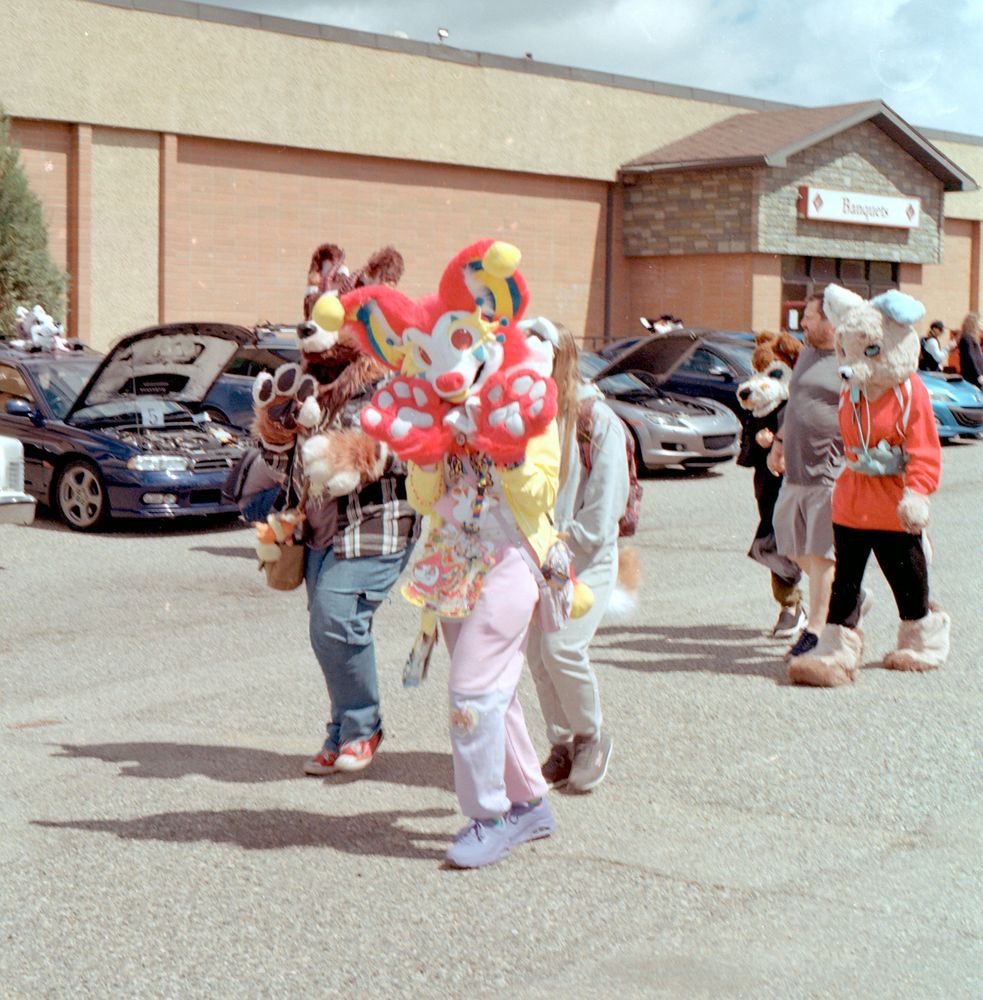 Film photograph taken on Kodak Gold 200 Pro in 120 format on a Hasselblad 500C. Photo is of a group of fursuiters walking in the fursuit parade in the back parking lot of the Glenmore Inn and Convention Center. The weather was partly cloudy and was avoiding raining at the moment with the sun shining through.