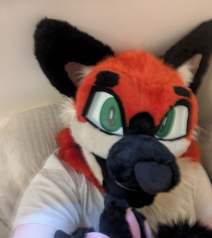 Me wearing my fox fursuit head, ears barely fitting into frame with the camera held at full arm reach.