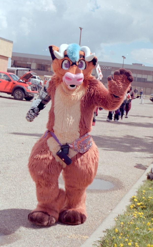 Film photograph taken on Kodak Gold 200 Pro in 120 format on a Hasselblad 500C. Photo is of Tunderhorn walking in the fursuit parade in the back parking lot of the Glenmore Inn and Convention Center. The weather was partly cloudy and was avoiding raining at the moment with the sun shining through.
