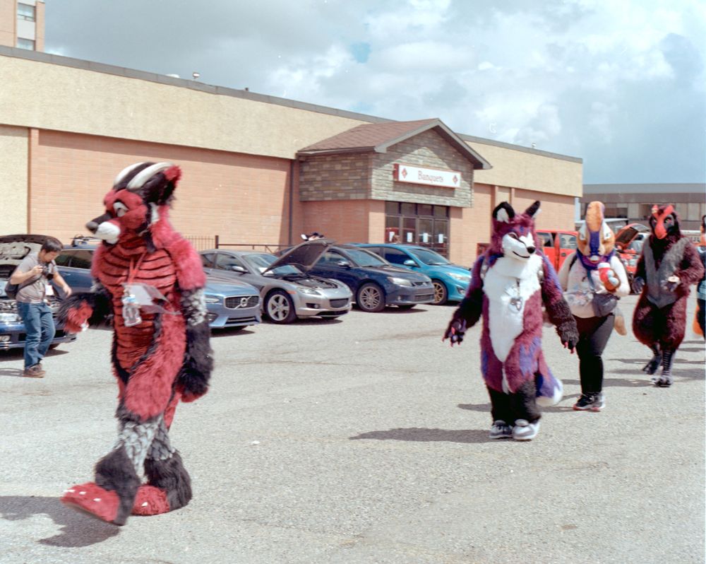 Film photograph taken on Kodak Gold 200 Pro in 120 format on a Hasselblad 500C. Photo is of a group of fursuiters walking in the fursuit parade in the back parking lot of the Glenmore Inn and Convention Center. The weather was partly cloudy and was avoiding raining at the moment with the sun shining through.