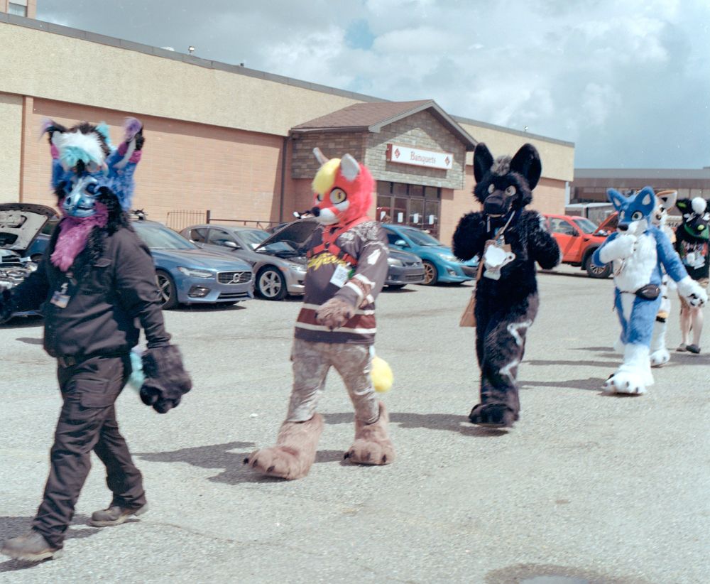 Film photograph taken on Kodak Gold 200 Pro in 120 format on a Hasselblad 500C. Photo is of a group of fursuiters walking in the fursuit parade in the back parking lot of the Glenmore Inn and Convention Center. The weather was partly cloudy and was avoiding raining at the moment with the sun shining through.
