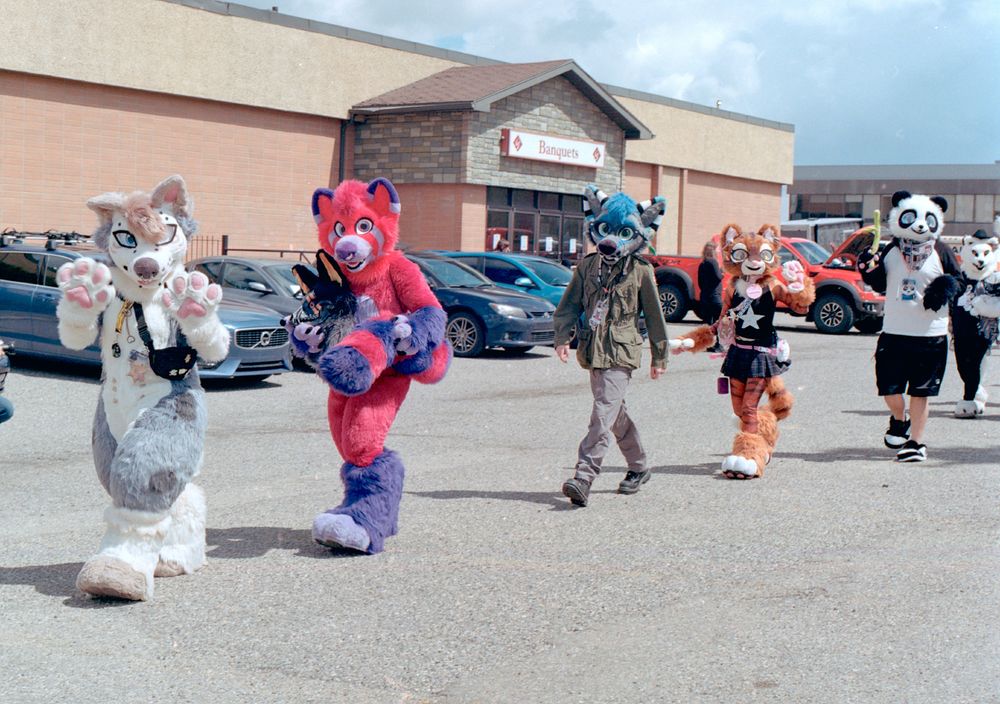 Film photograph taken on Kodak Gold 200 Pro in 120 format on a Hasselblad 500C. Photo is of a group of 6 fursuiters walking in row in the fursuit parade in the back parking lot of the Glenmore Inn and Convention Center. The weather was partly cloudy and was avoiding raining at the moment with the sun shining through.