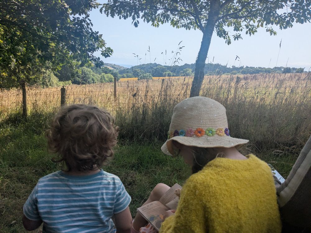 2 children from behind. One is about 2, with a curly mop of brown hair and a striped t shirt. The other is about 7, wearing a straw hat with flowers. They are sitting on a bench, looking out over a lush English countryside scene. Lush grass, a wooden posted wire fence with some trees and yellow flowers beyond. It is a clear day, glowing with warmth.
