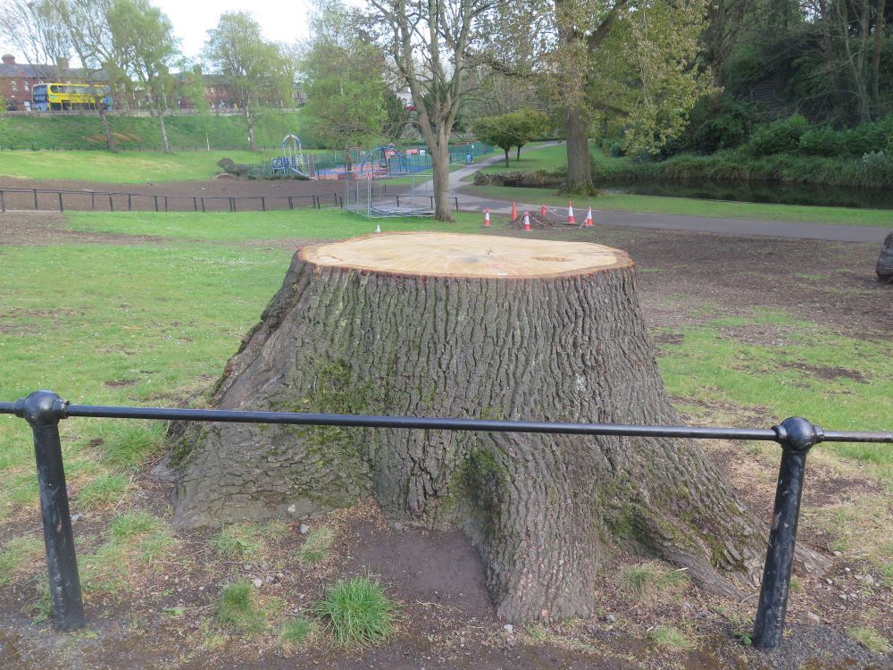 A tree stump behind a fence in park. In the distance a path and trees, and slightly further away a road with a row of house and a bus.