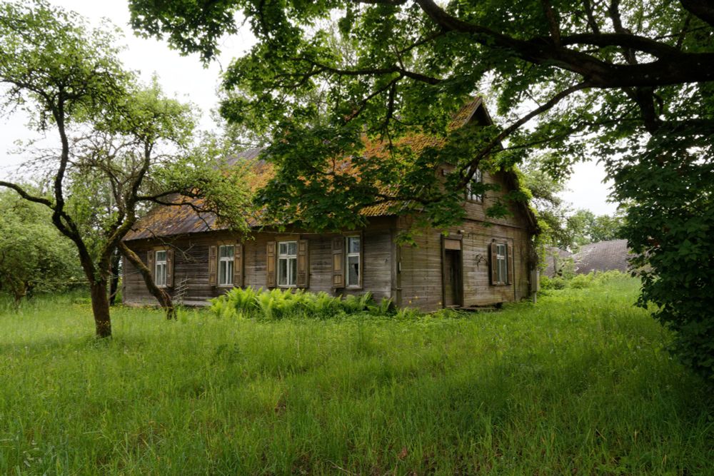 An unpainted wooden house in lush, rich, uncut grass under trees. One window is broken.