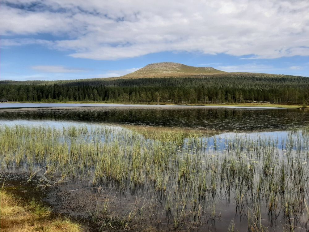 View on mount Nippfjãllet near Idre, Sweden