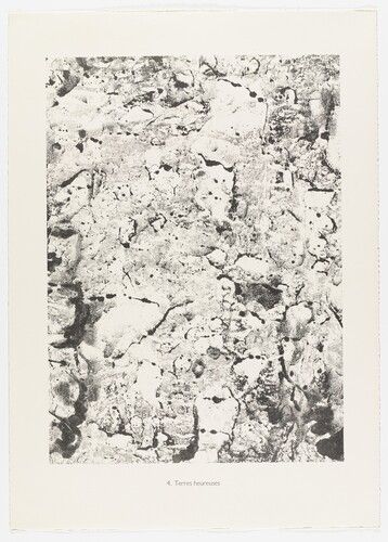 Gift of Mr. and Mrs. Ralph F. Colin