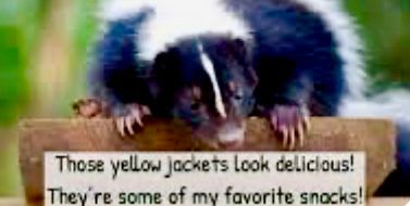 Comment image