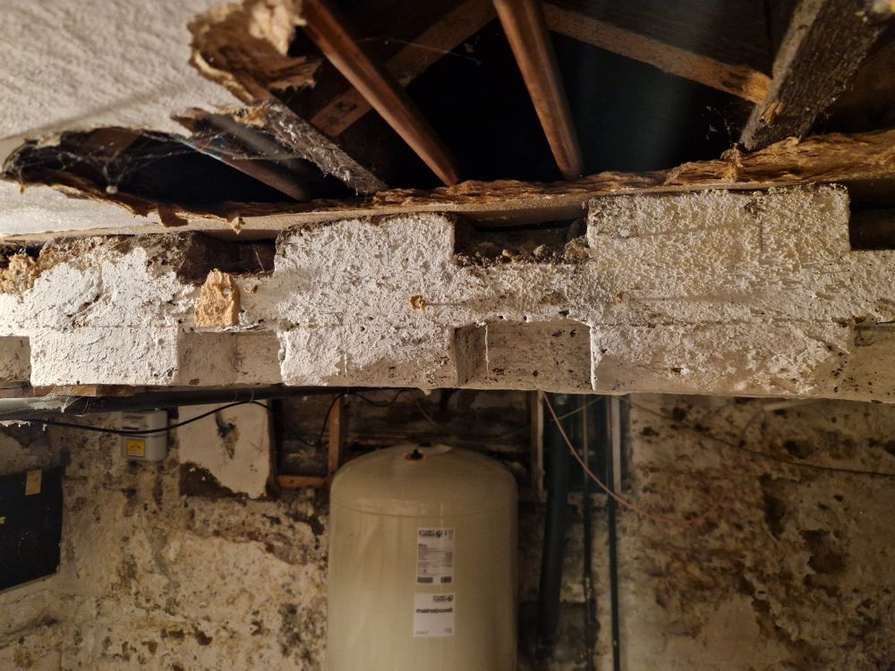 A bit of an old ship, holding up the floor