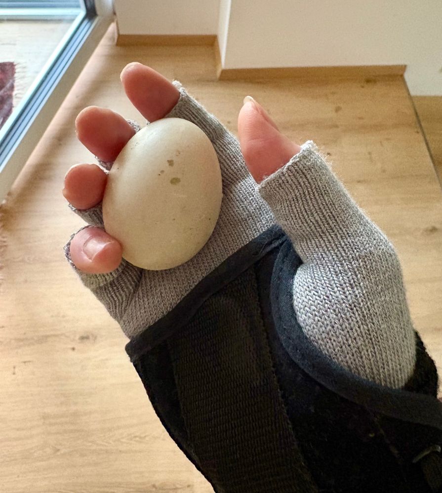 my hand holding an egg 