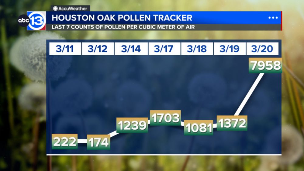 This is the highest count in March sampled by the city of Houston since records began in 2013. So what's to blame for these off the chart numbers?
