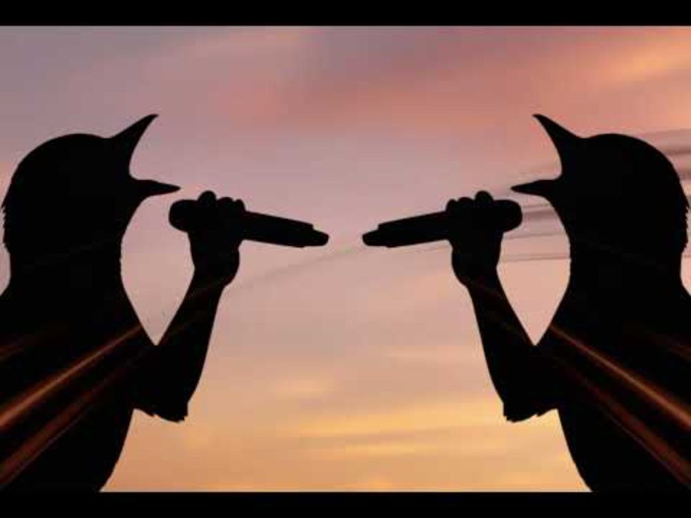 Ep. 73 - The Dawn Chorus (Part 2)