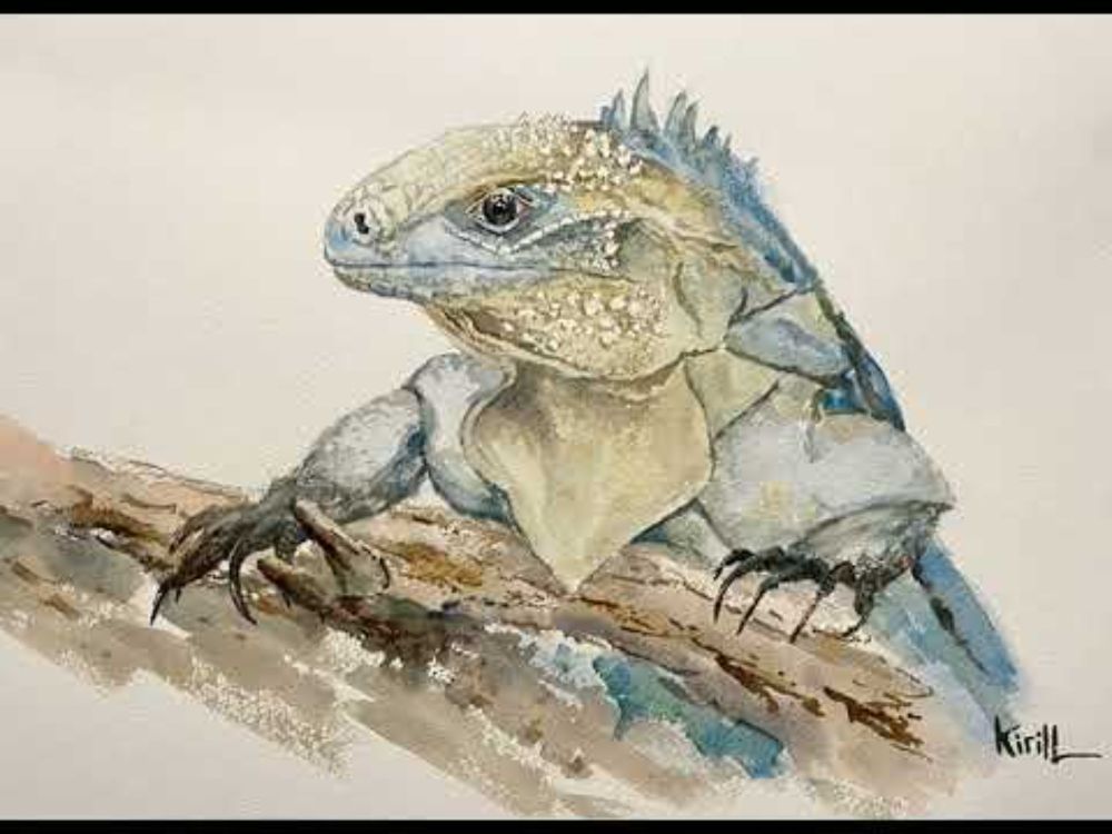 Ep. 70 - Saving the Blue Iguana