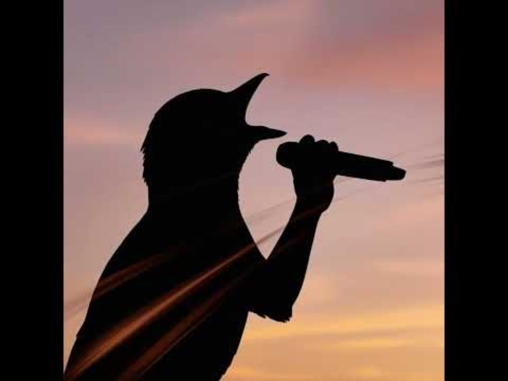 Ep. 73 - The Dawn Chorus (Part 1)