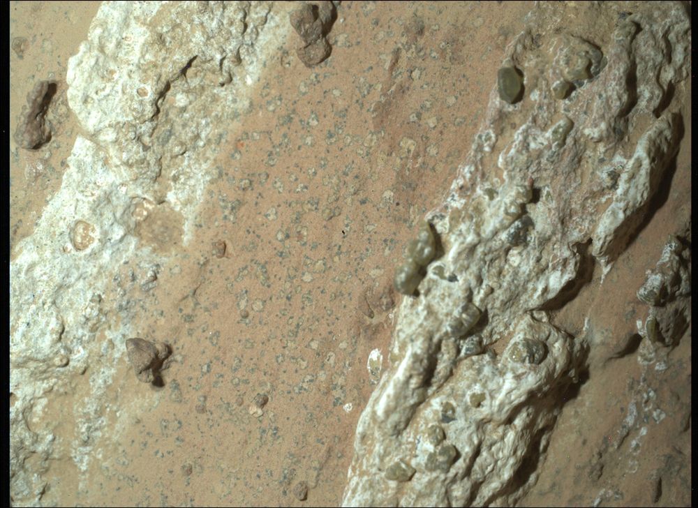 NASA’s Perseverance Rover Scientists Find Intriguing Mars Rock - NASA