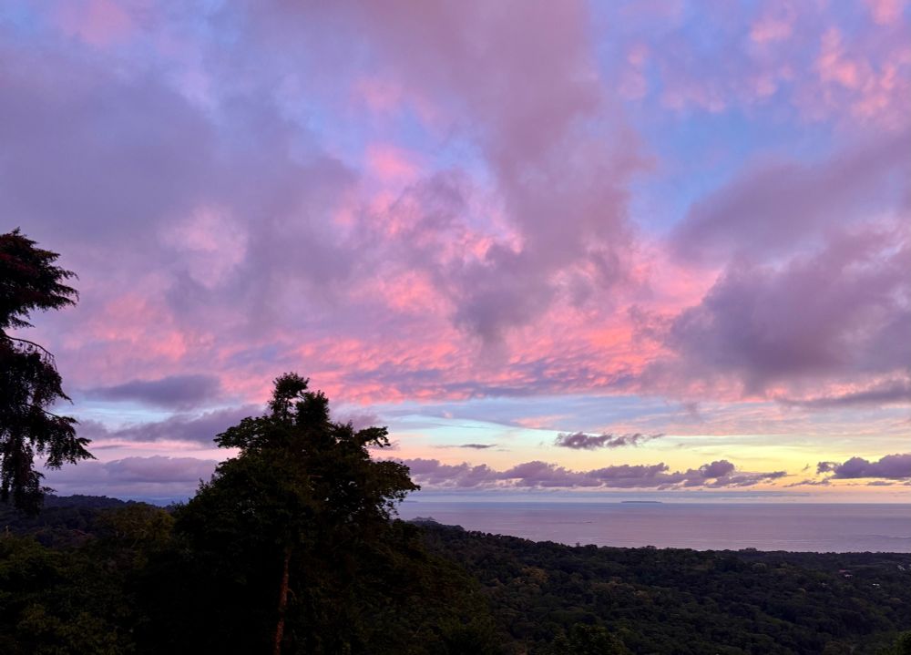 Pink to the southern sky. 