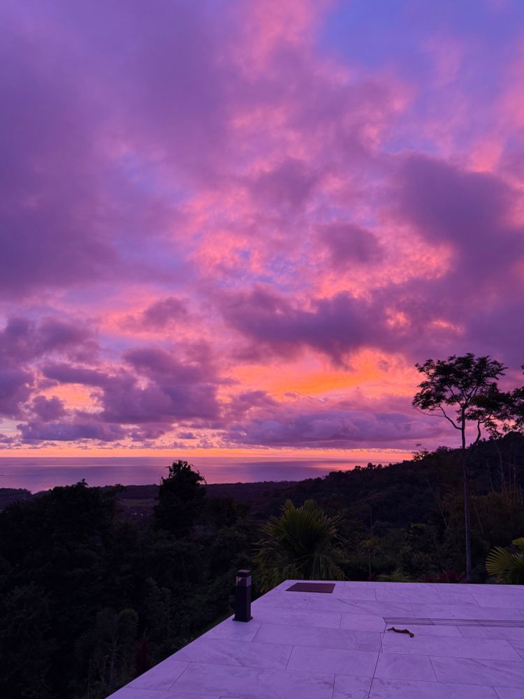Pink turning to lavender. 