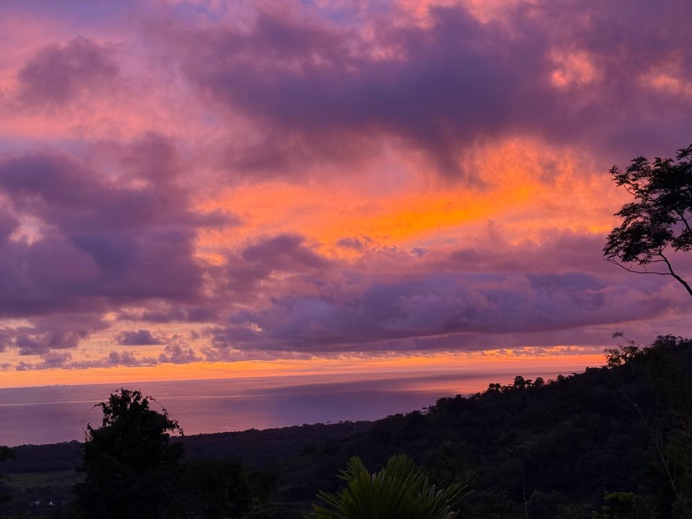 Less purple, more orange.
