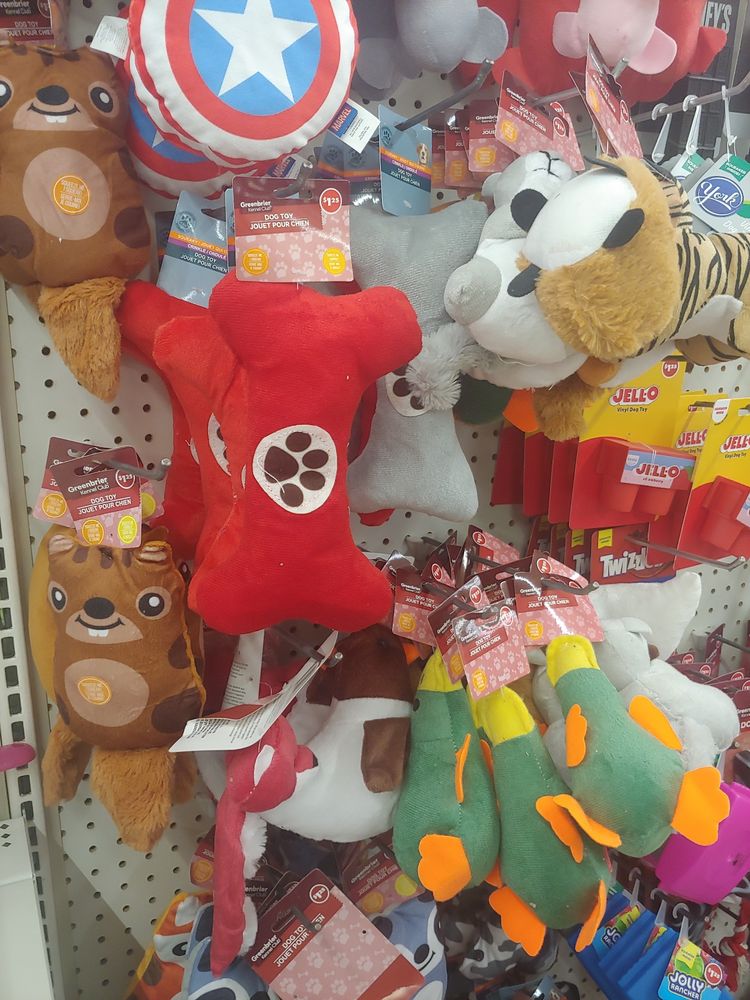 Shelf of dog toys, one is a red bone with a white circle and a paw on it. The circle and paw look similar to the logo of the "furry raiders" 