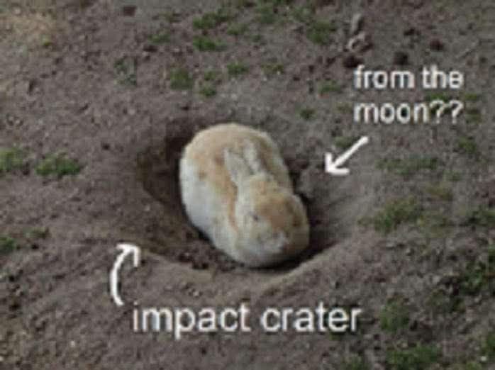 Bunny in an hole or impact crater with the text "impact crater" and "from the moon"