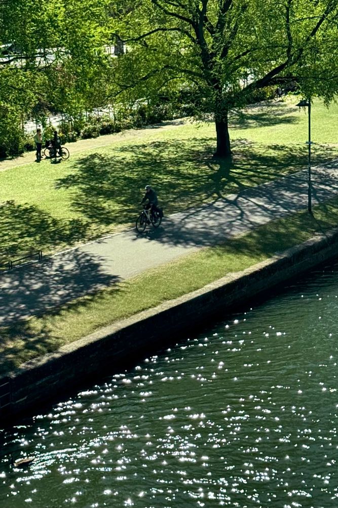 Am Mainufer in Frankfurt, Sachsenhausener Seite. Gegenlicht. Das Sonnenlicht spiegelt sich auf dem Wasser. Es ist noch früh am Morgen. Ein Radfahrer ist unterwegs, vielleicht ist er auf dem Weg zur Arbeit. Zwei Passanten sind stehengeblieben und unterhalten sich. Bäume werfen Schatten. Es grünt. Binnen weniger Tage, man möchte sagen: Stunden.