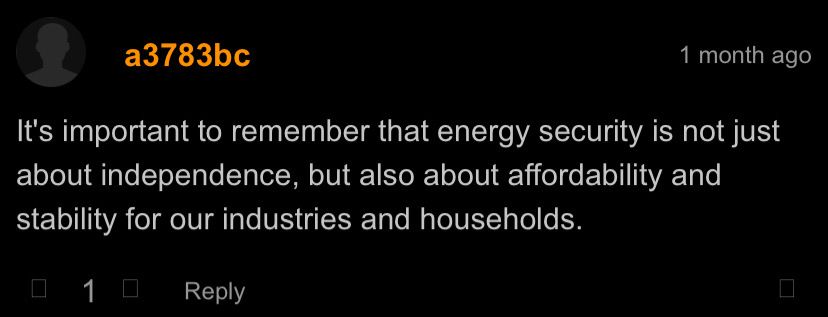 It's important to remember that energy security is not just about independence, but also about affordability and stability for our industries and households.