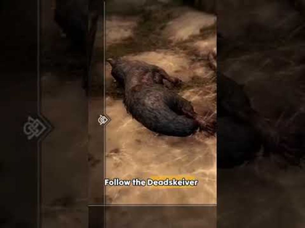 Funny Skyrim Moments! Part 1
