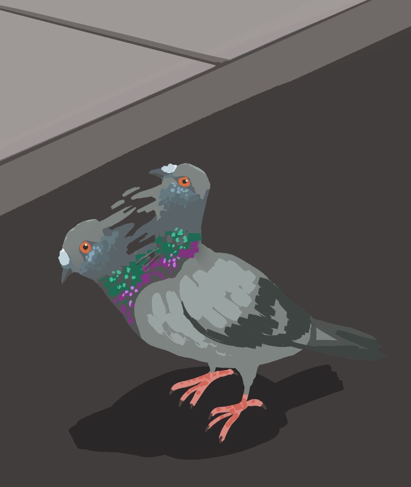 Simple digital art of a pigeon showing it bobbing its head up and down. Lineless style, just flat color. 