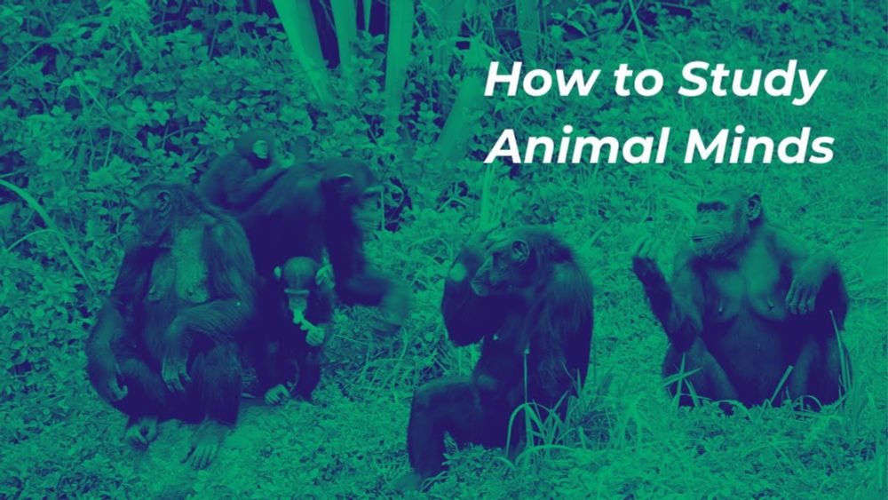 Unlocking The Secrets Of Animal Minds | ONsite