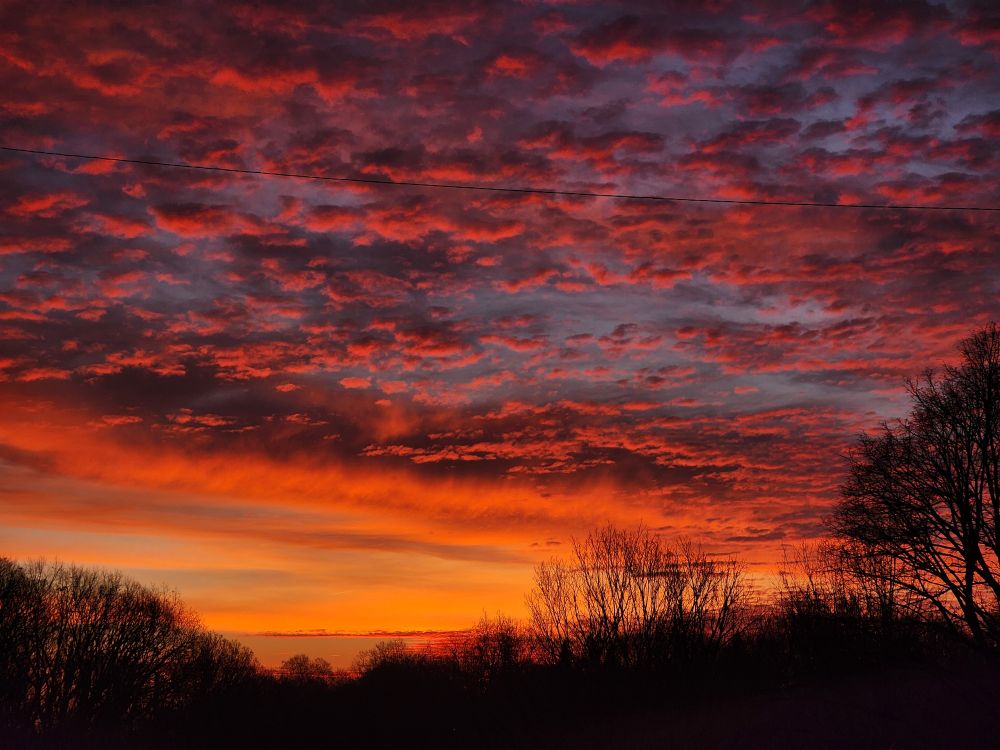 This morning's sunrise as seen from the western end of the Prince Edward Viaduct in Toronto 