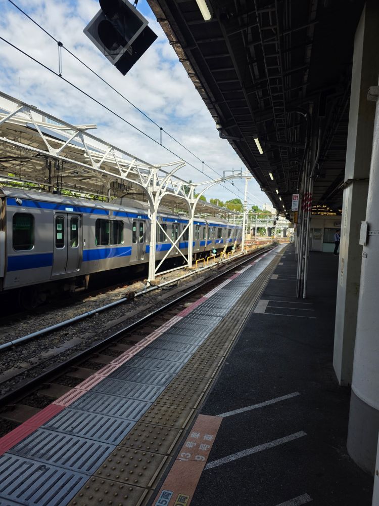 A view of one of the platforms at Ueno station. A train sits in a platform opposite. It's got a blue stripe. I forget what the number is. I'm not a very good trainspotter outside of the UK lol