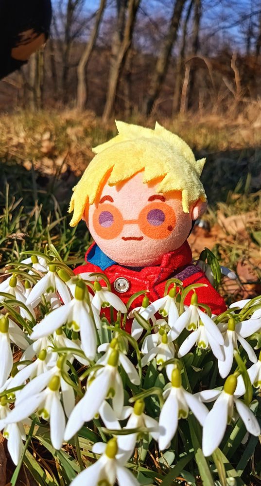 Photo of TeruVa plushie in a patch of snowdrop flowers. He looks very pleased with his placement.
