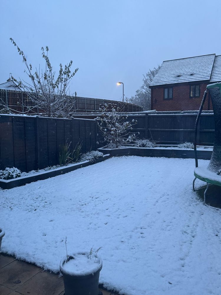 View of my back garden blanketed in snow
