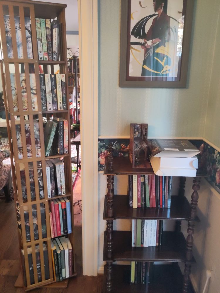 On the left, a six-tier spinning shelf with many Seven Seas Danmei imprint novels, and academic texts. On the right, an open-sided bookshelf with a variety of academlc texts. The top shelf has an art project.