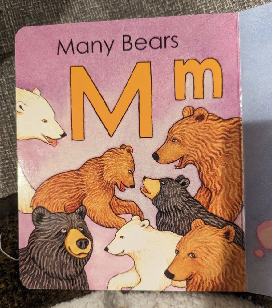A photo of an illustrated page from a children's book. The page is labeled with the letter M and the title "many bears." There are seven bears of varying kinds. In the bottom right corner, a brown bear is making a funny expression similar to the little girl in front of the burning house meme or a Shiba Inu.