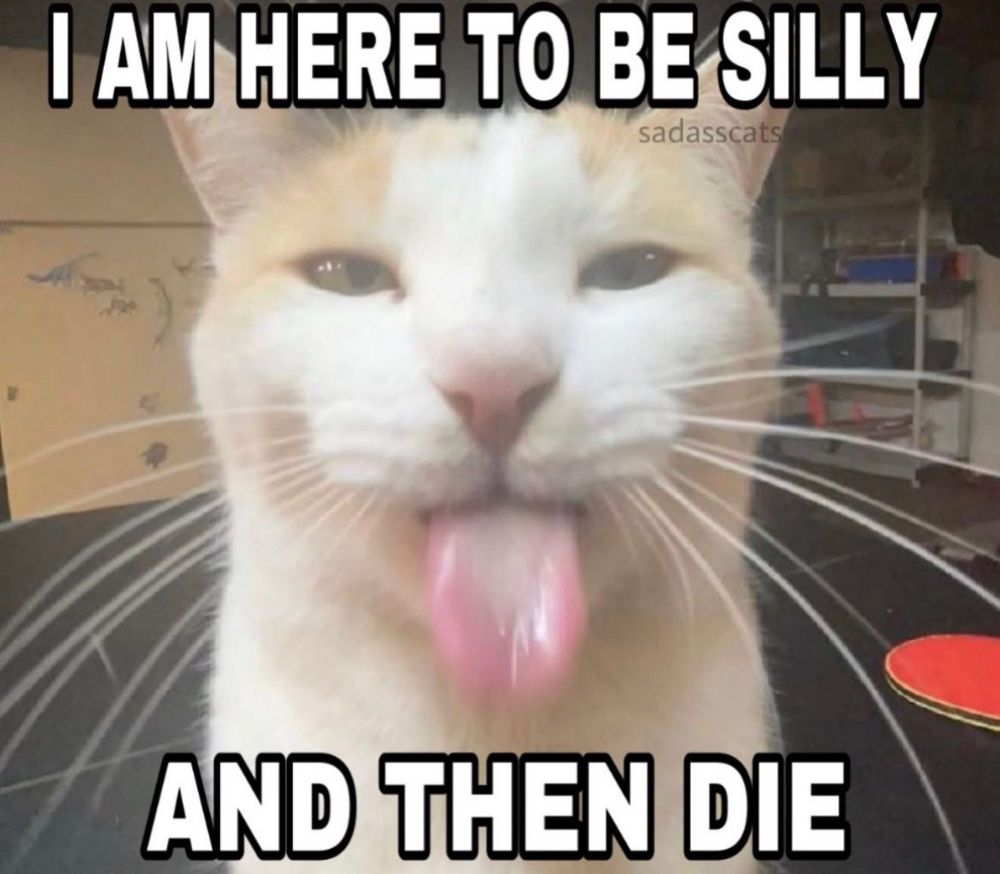 Comment image